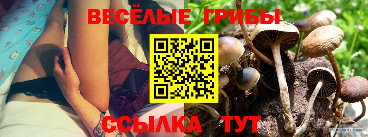 Псилоцибиновые грибы ЛСД  Вход с VPN  Галлюциногенные грибы Cubensis  Димитровград 
